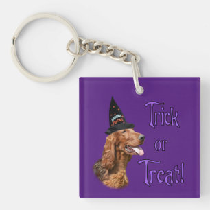 Irish Setter Trick Keychain
