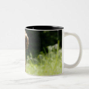 Irish Setter Two-Tone Coffee Mug