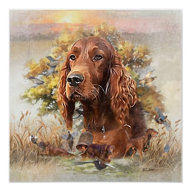 Irish Setter - Ultimate Upland Bird Dog Poster (Front)