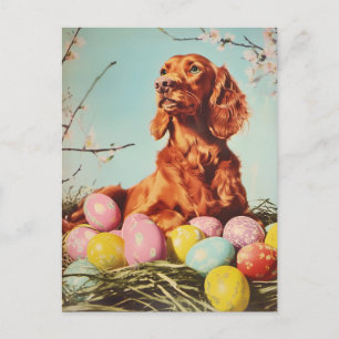 Irish Setter Vintage Easter Postcard