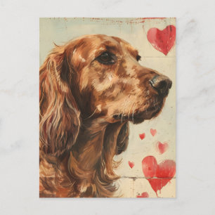 Irish setter vintage Valentine's Day  Postcard