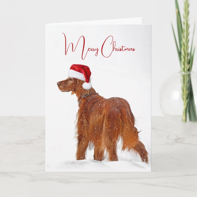 Irish Setter With Christmas Hat Card (Front)