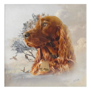 Irish setter with pheasant  acrylic print
