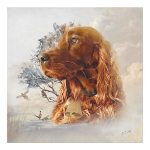 Irish setter with pheasant photo print