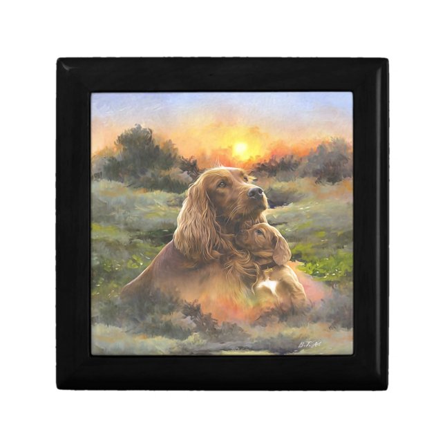 Irish setter with puppy gift box (Front)