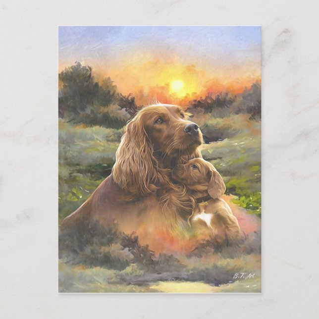 Irish setter with puppy postcard (Front)
