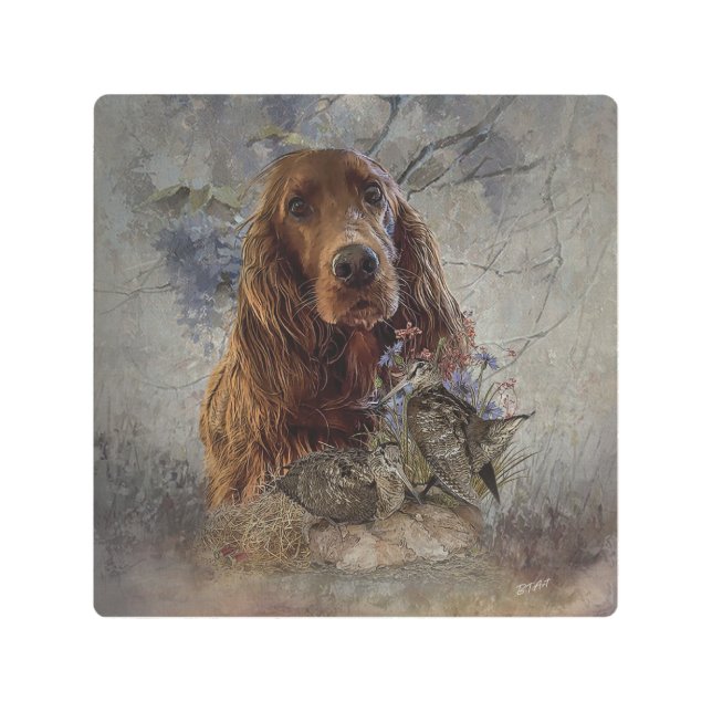 Irish setter with woodcock     metal print (Front)