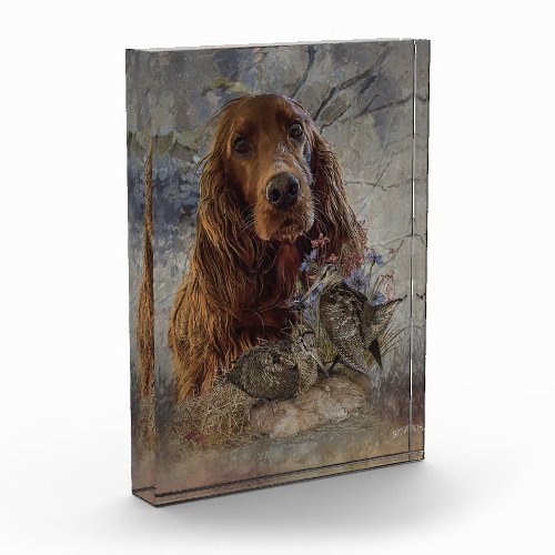 Irish setter with woodcock        photo block