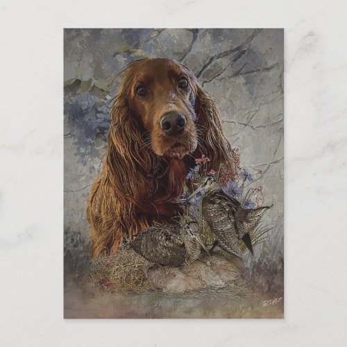 Irish setter with woodcock       postcard