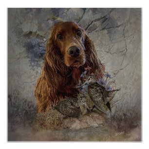 Irish setter with woodcock poster