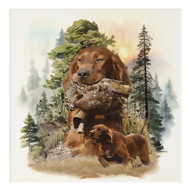 Irish Setter , Woodcock hunting,  Art (Front)