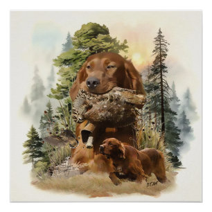Irish Setter , Woodcock hunting,  Art Poster