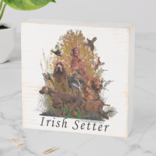 Irish Setter  Wooden Box Sign