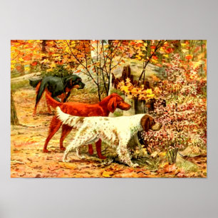 Irish setters in the fall poster