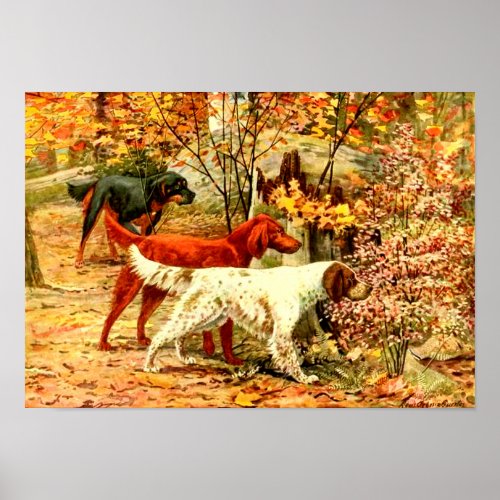 Irish setters in the fall poster