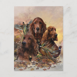  Irish Setters with Pheasants - Passion Hunt Holiday Postcard