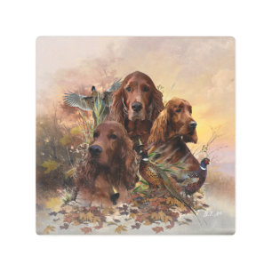 Irish Setters with Pheasants - Passion Hunt Metal Print