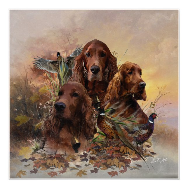  Irish Setters with Pheasants - Passion Hunt Poster (Front)