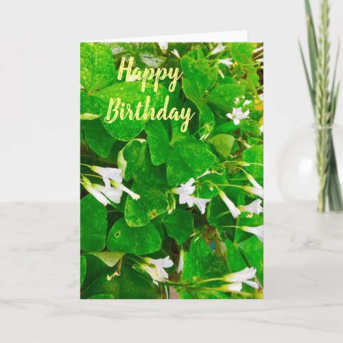 Irish Shamrock Birthday Greetings Card