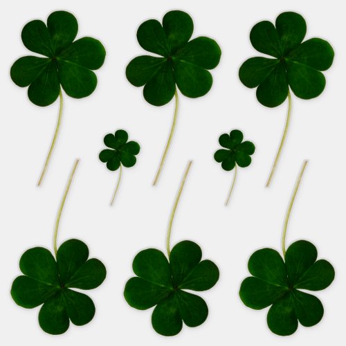 Irish Shamrock Green Clovers St Patricks Day Sticker