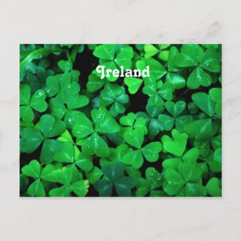 Irish Shamrocks Postcard by GoingPlaces at Zazzle