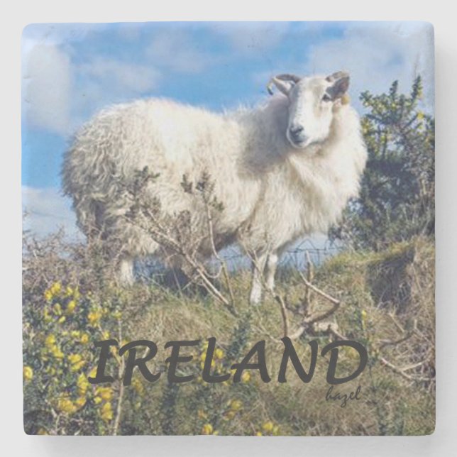 Irish Sheep, Ireland Marble Coaster (Front)