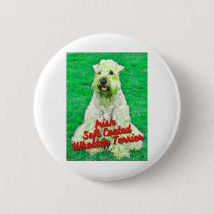 Irish Soft Coated Wheaten Terrier In Grass Button