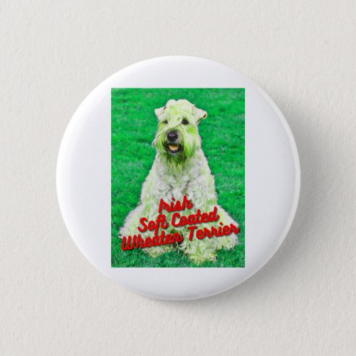 Irish Soft Coated Wheaten Terrier In Grass Button