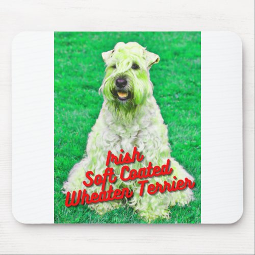 Irish Soft Coated Wheaten Terrier In Grass Mouse Pad
