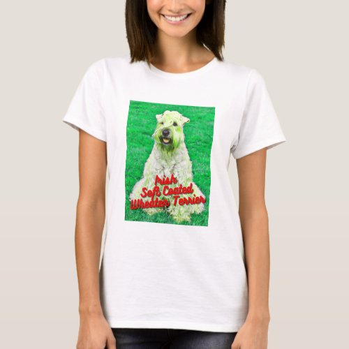 Irish Soft Coated Wheaten Terrier In Grass T_Shirt