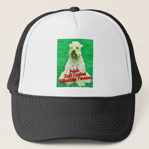 Irish Soft Coated Wheaten Terrier In Grass Trucker Hat