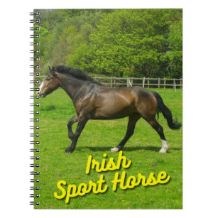 Irish Sport Horse In Field Notebook