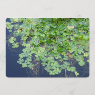 Irish Spring Clover Wedding Invitation