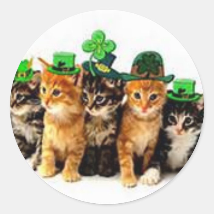 Irish St Paddy Cats Gifts For Him And Her Classic Round Sticker