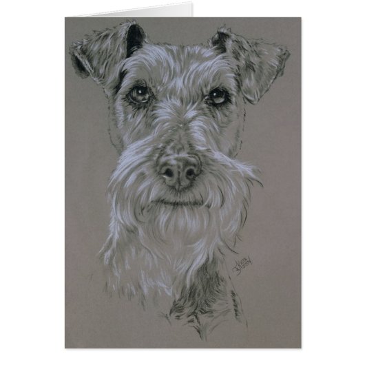 Irish Terrier Cards (Front)