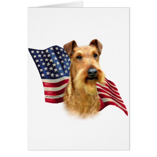 Irish Terrier Flag Cards (Front)
