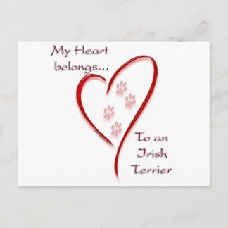 Irish Terrier Heart Belongs Postcard