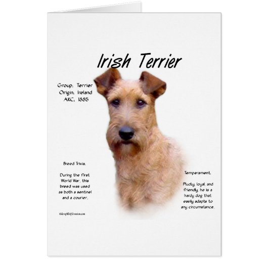 Irish Terrier History Design (Front)
