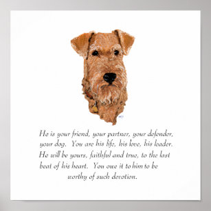Irish Terrier Keepsake - Male Poster