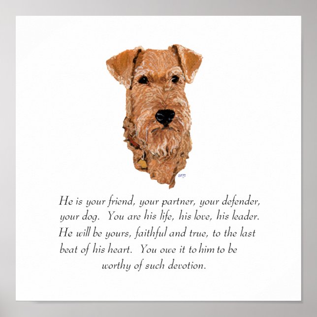 Irish Terrier Keepsake - Male Poster (Front)
