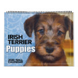 Irish Terrier Puppies 2020 Wall Calendar