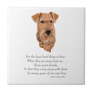 Irish Terrier Rainbow Bridge Ceramic Tile