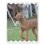 Irish Terrier Temporary Tattoos