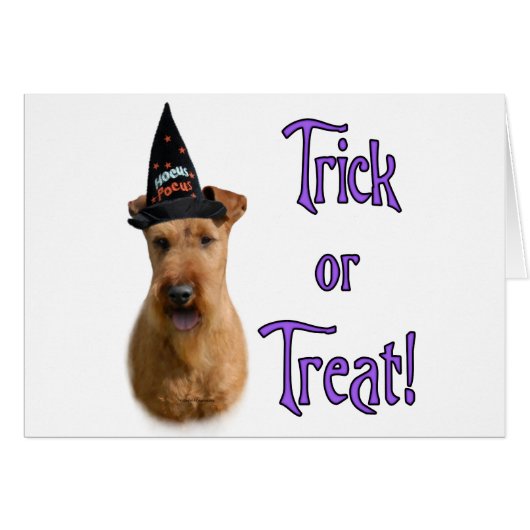 Irish Terrier Trick Cards (Front Horizontal)