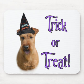 Irish Terrier Trick Mouse Pad