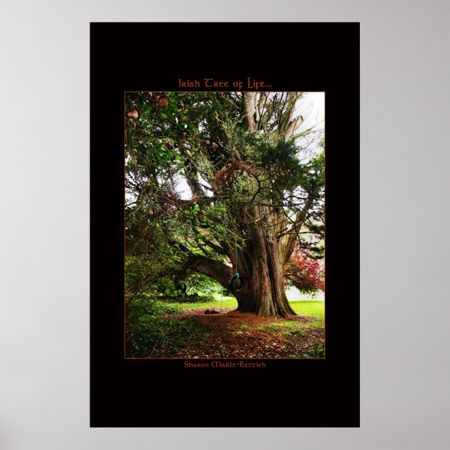 Irish Tree of Life Poster Print (Front)