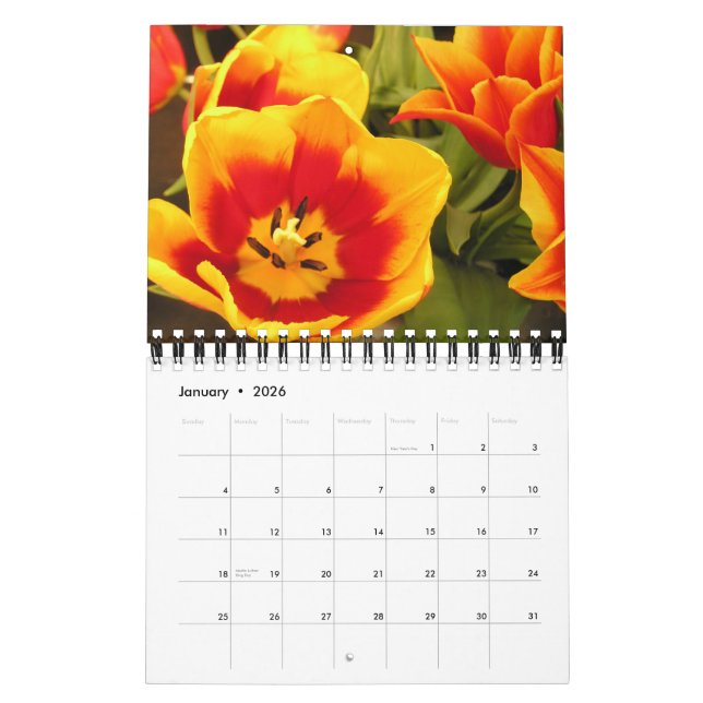 Irish Tulip Festival Calendar (Jan 2026)