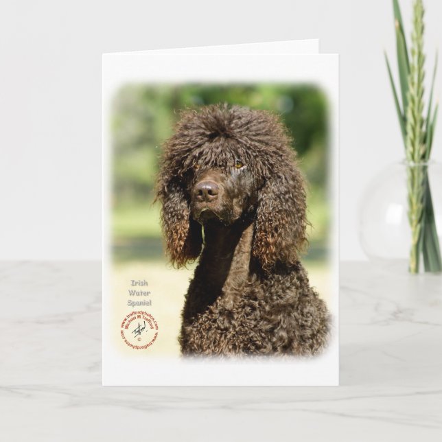 Irish Water Spaniel 9R032D-363 Card (Front)