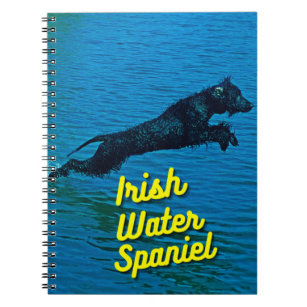 Irish Water Spaniel In Water Notebook