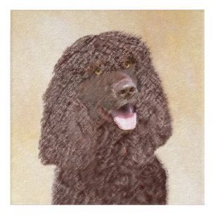 Irish Water Spaniel Painting - Original Dog Art